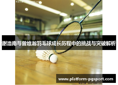 谢浩南与曾维瀚羽毛球成长历程中的挑战与突破解析 谢浩南与曾维瀚羽毛球成长历程中的挑战与突破解析