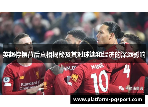 英超停摆背后真相揭秘及其对球迷和经济的深远影响