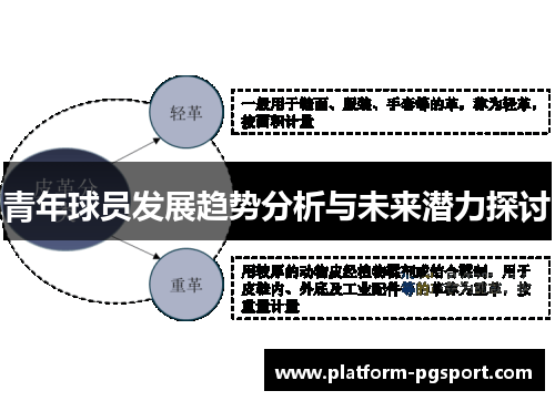 青年球员发展趋势分析与未来潜力探讨