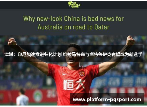 津媒：印尼加速推进归化计划 维拉马特森与斯特鲁伊克有望成为新选手